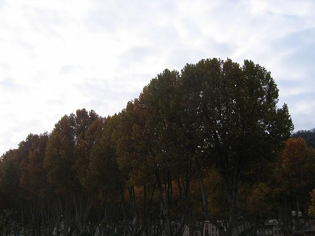 Photo 104.jpg